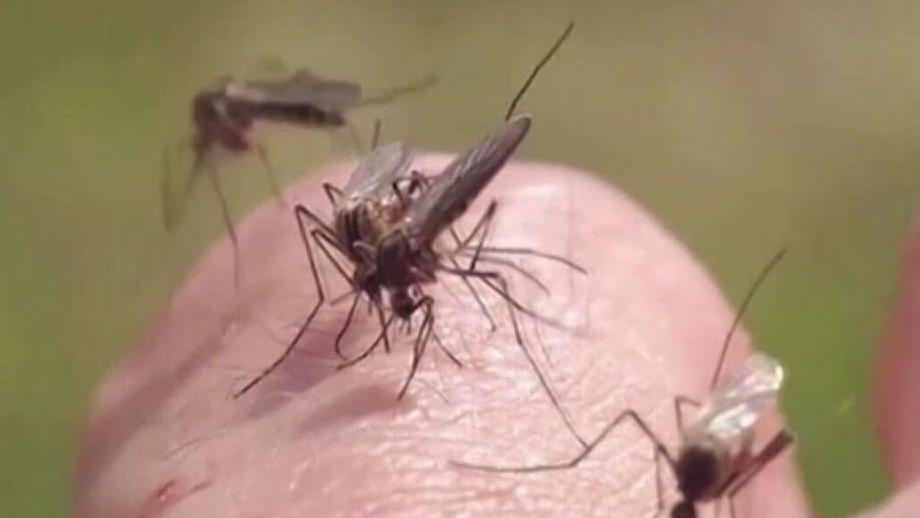 Gov. Scott Announces 10 More Zika Cases in South Florida