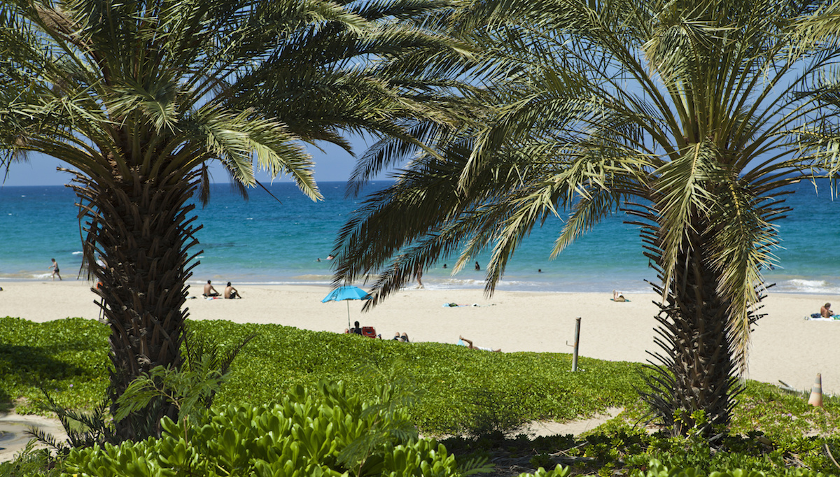 Favorable Weather Conditions this Memorial Day Weekend