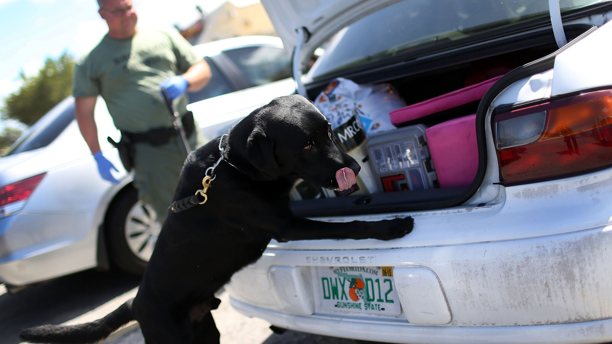 'Devil's Drug': Flakka Epidemic Afflicts South Florida