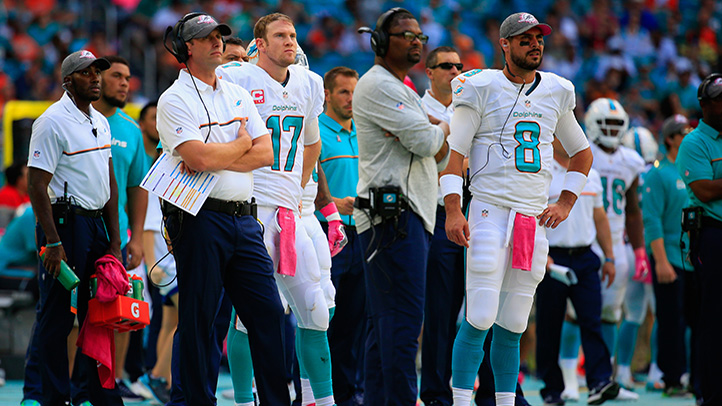 Week 14 Preview: Cardinals at Dolphins