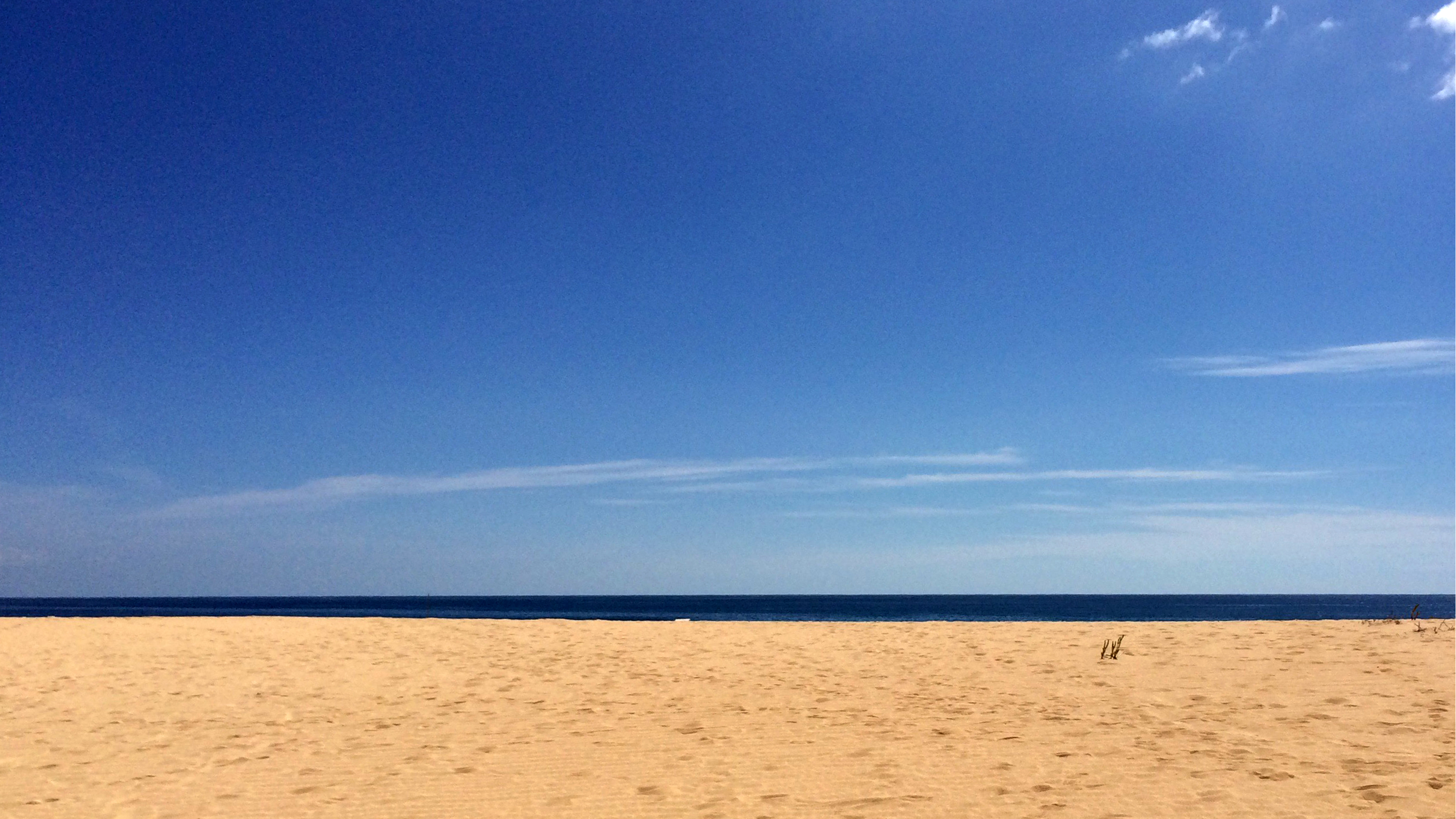 South Florida May Soon Have Another Nude Beach