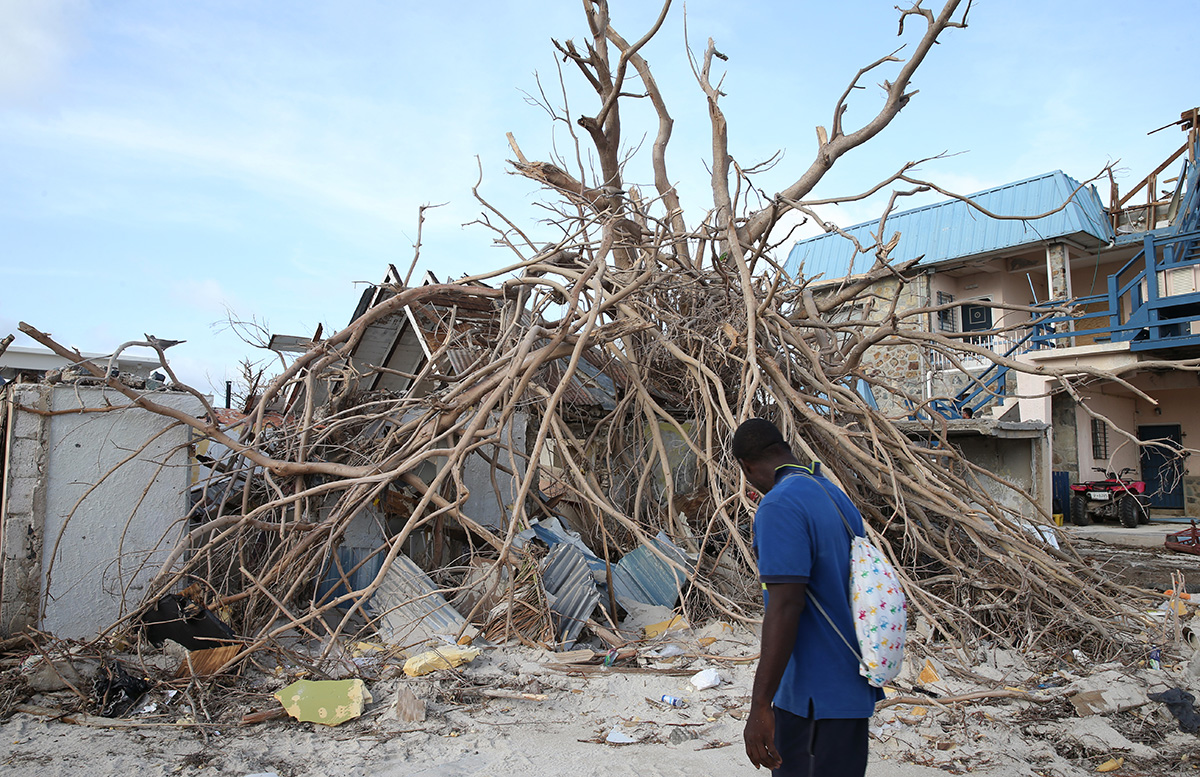 Irma Relief: JetBlue Serves Up Free Hot Meals at BB&T Center
