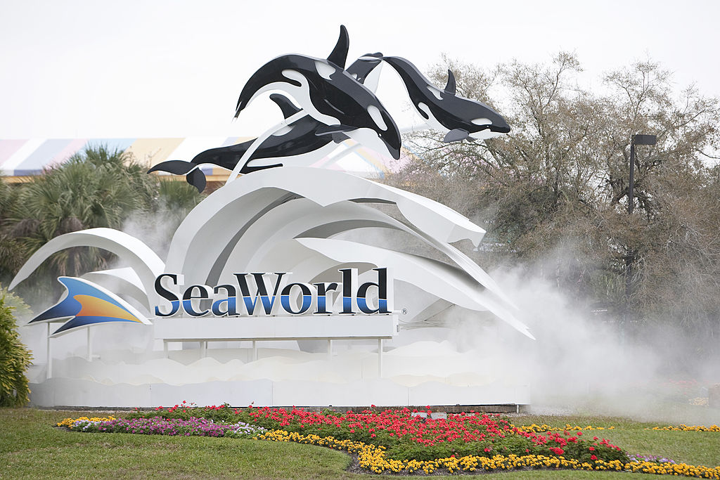 Sea World Orlando to Add 'Sesame Street' Themed Attraction