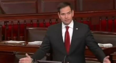 Jolly Drops Out of Senate Race, Rubio Undecided