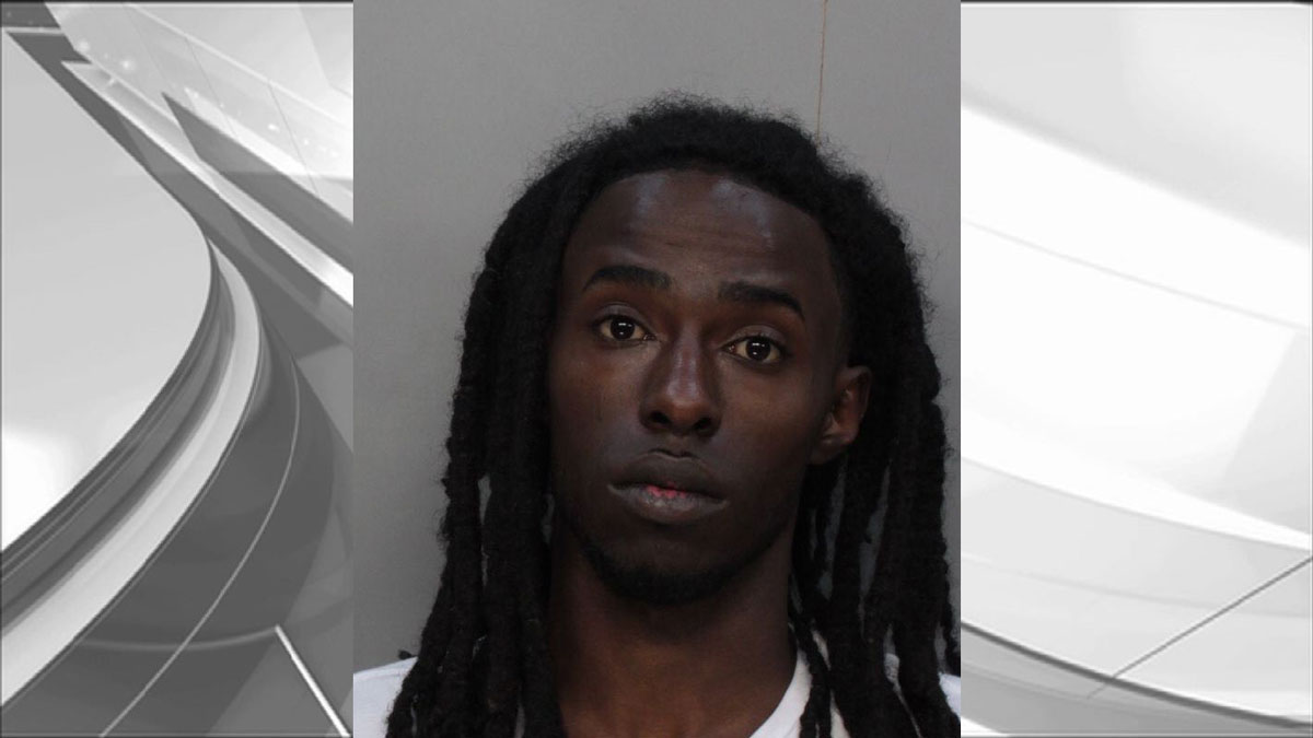 Police Search for Serial Car Burglar: MDPD
