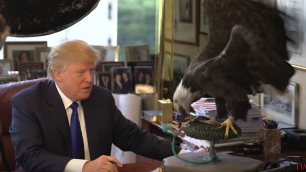Bald Eagle Nearly Attacks Donald Trump