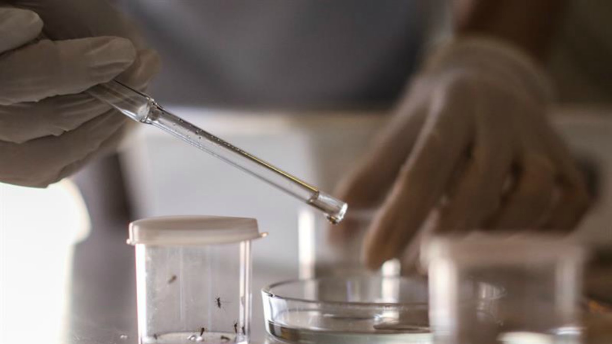 Four New Non-Travel Zika Cases in Wynwood