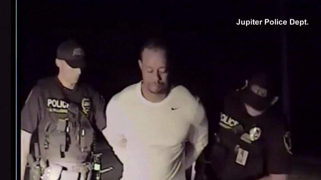 5 Drugs Found in Tiger Woods' System After Arrest