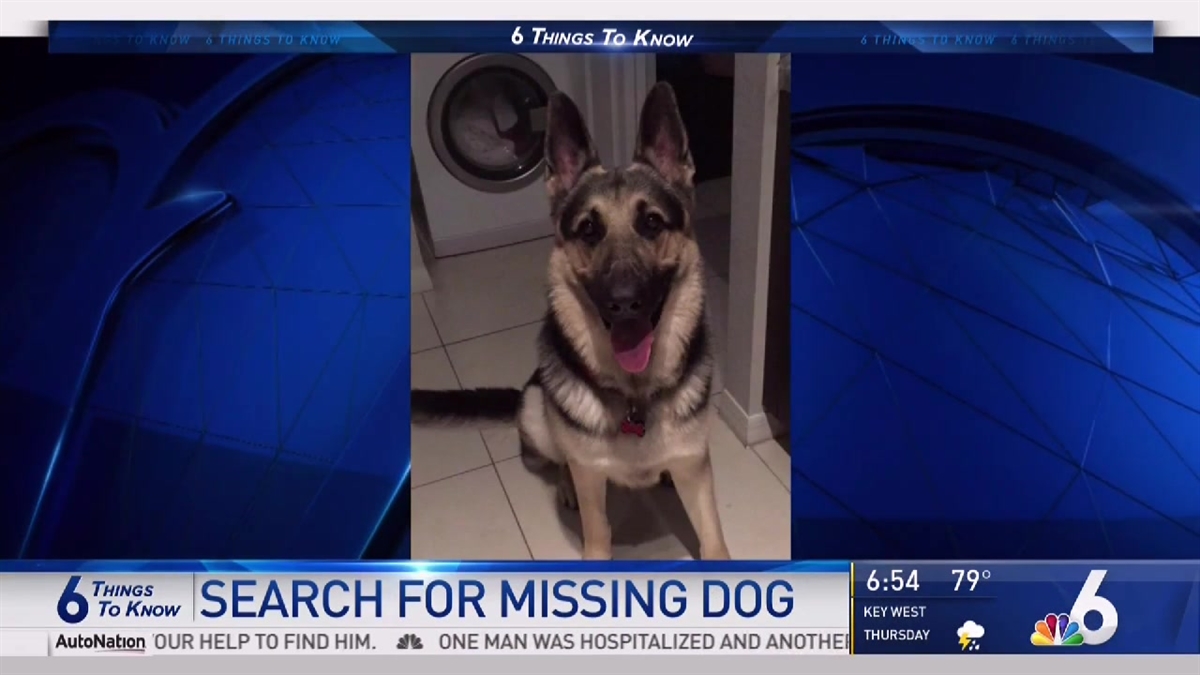 6 Things to Know - South Miami Solar Panels