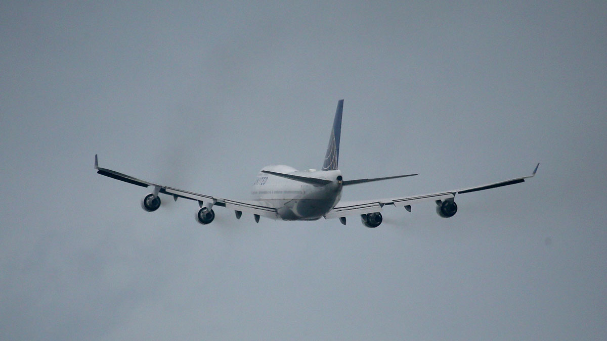United Flight Returns to Chicago After Report of Bird Strike