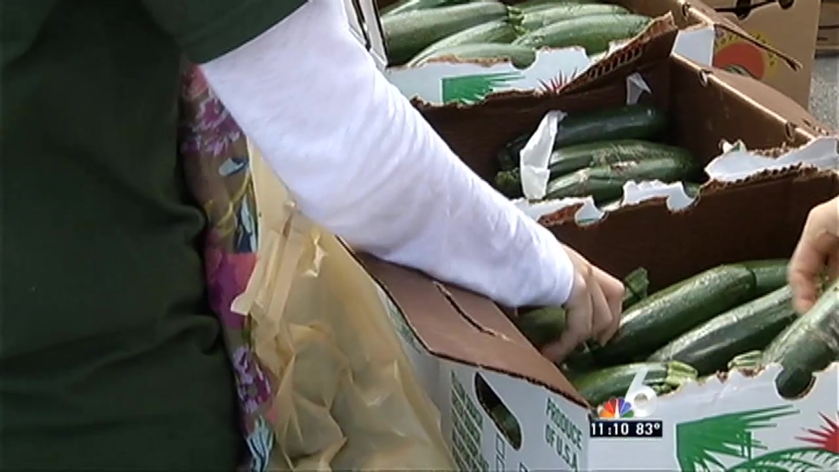 Fruit Fly Quarantine Impacting Food Programs