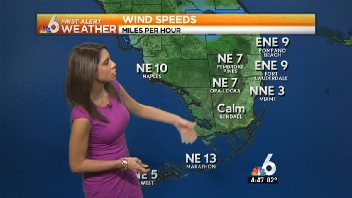 Weather: Mostly Cloudy Monday