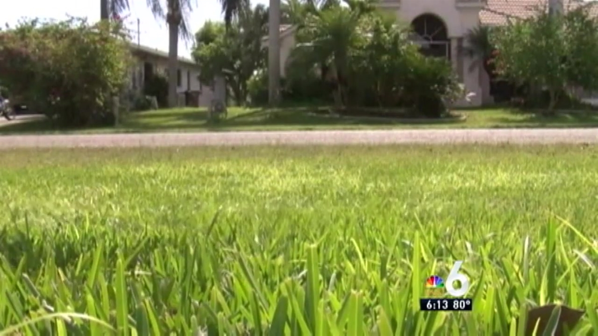 Drone Crashes Into Florida Condo Building