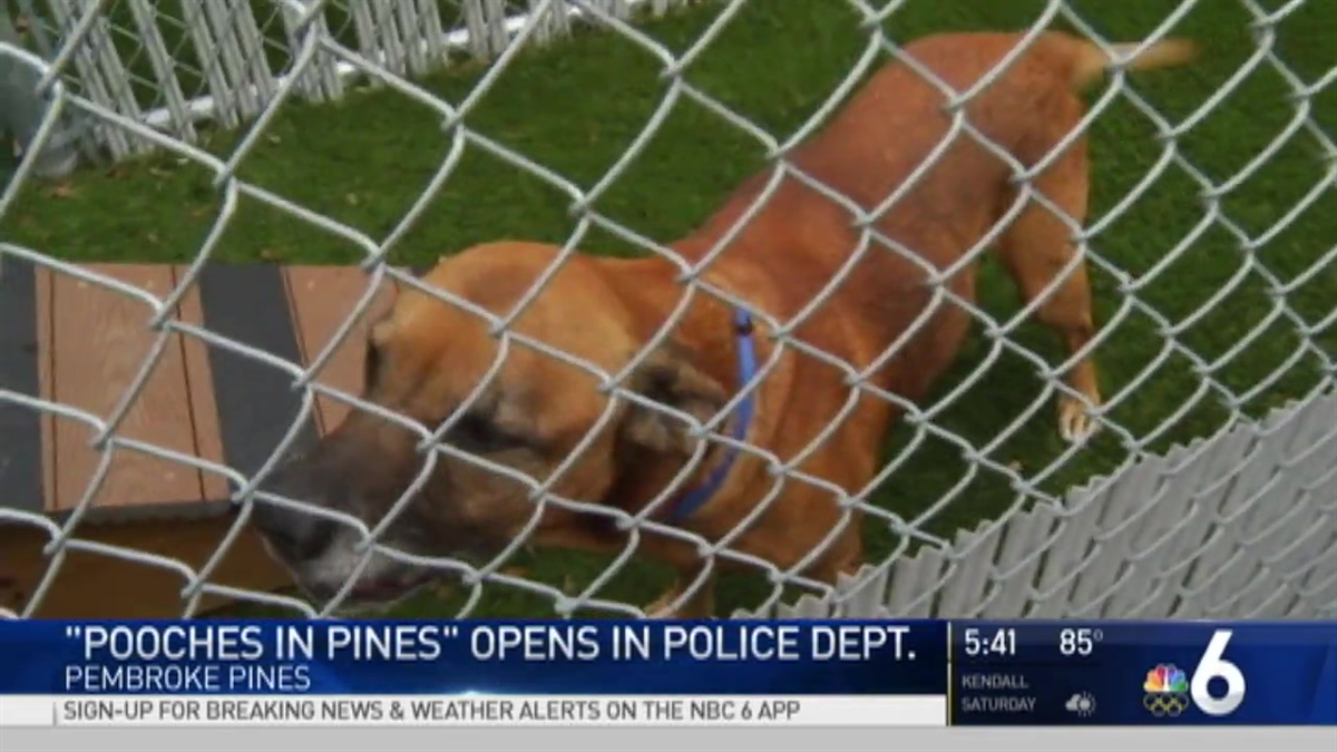 Pooches in Pines Opens in Police Department