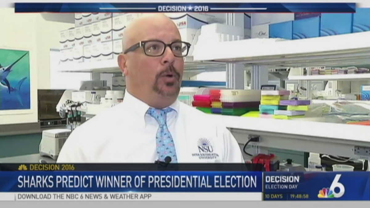 Sharks Predicts Winner of Presidential Race