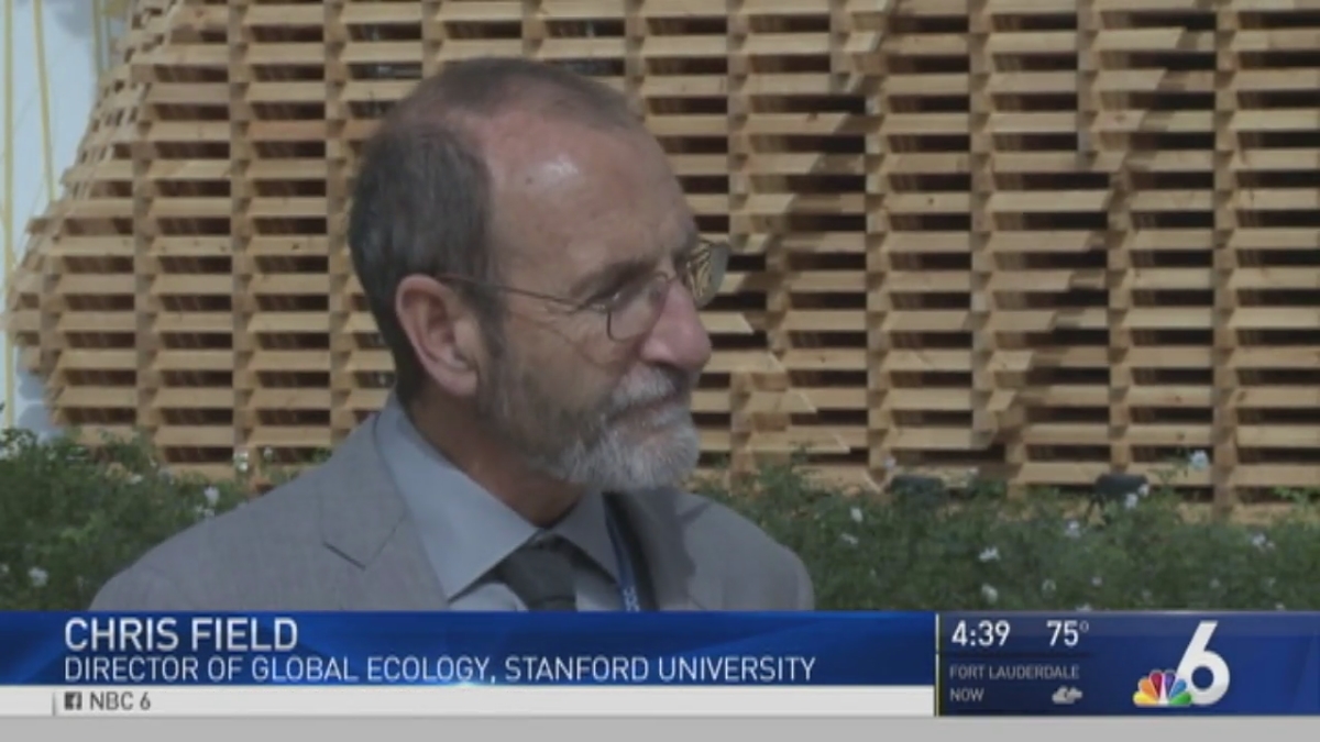 Concerns Grow Over Trump Presidency at Climate Change Conference