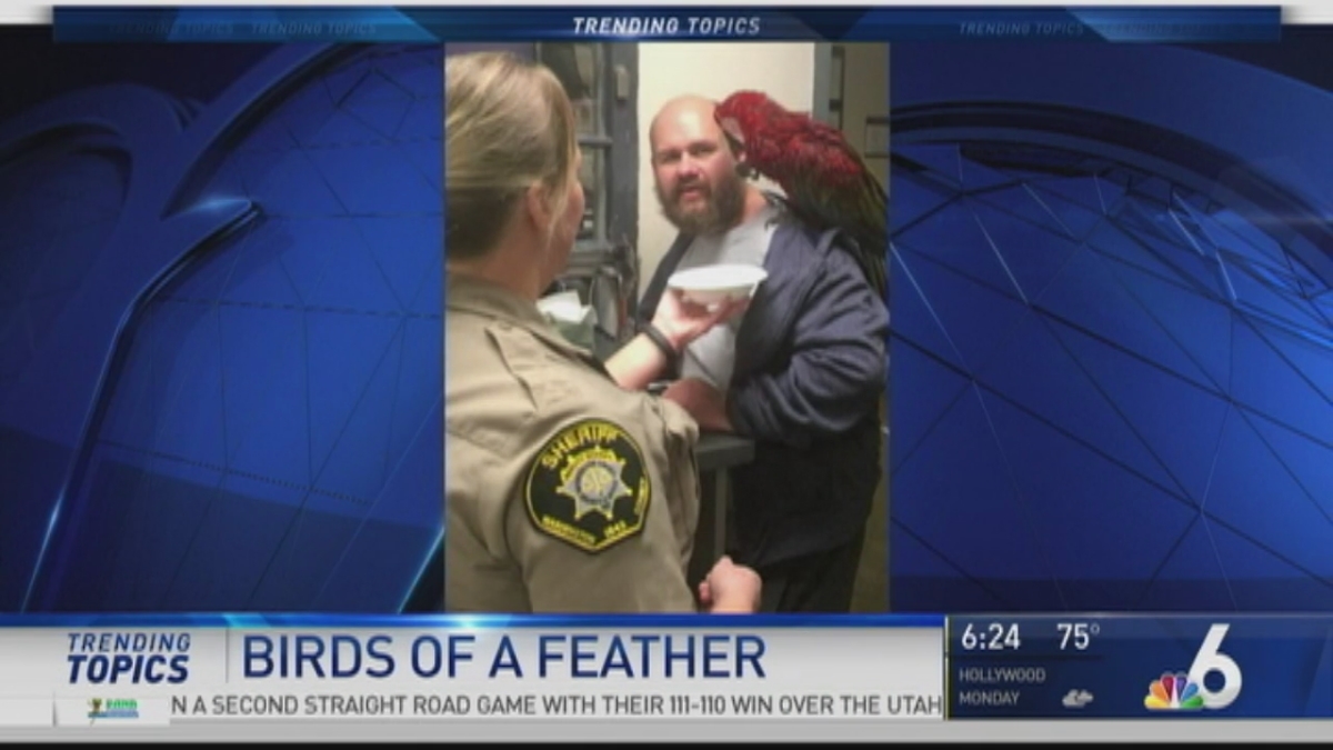 Trending Topics - December 2nd