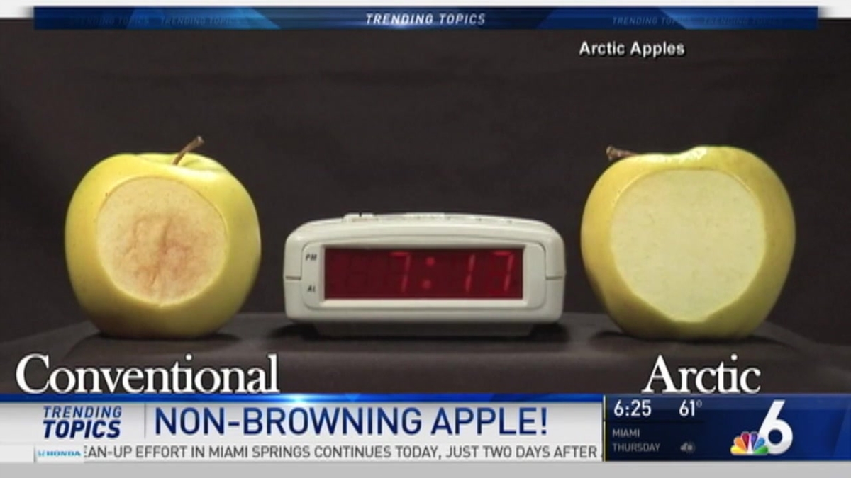 Trending Topics - January 25th