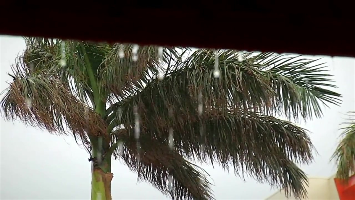 T.S. Philippe Brings Heavy Rain to North Bay Village