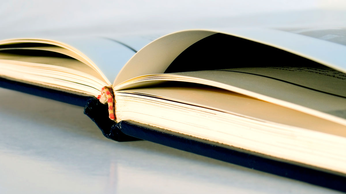 'Gap Year' Proves Successful for Many Students