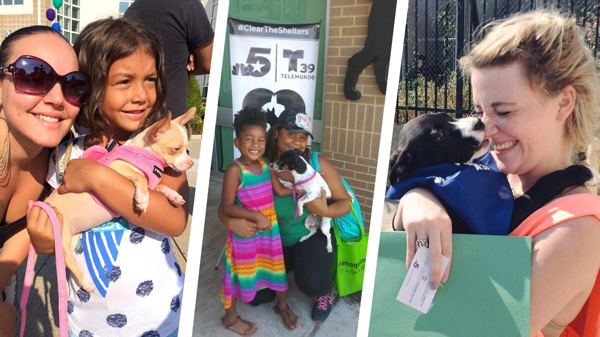 Clear the Shelters: More Than 17,000 Animals Find Homes