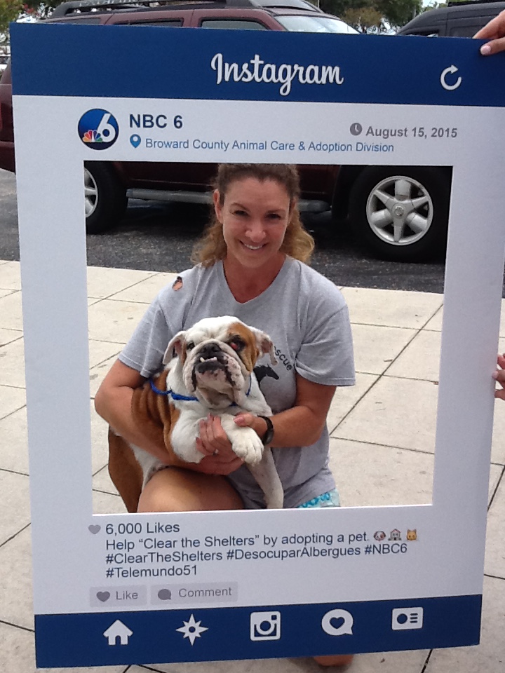 #ClearTheShelters: Broward County Animal Care & Adoption