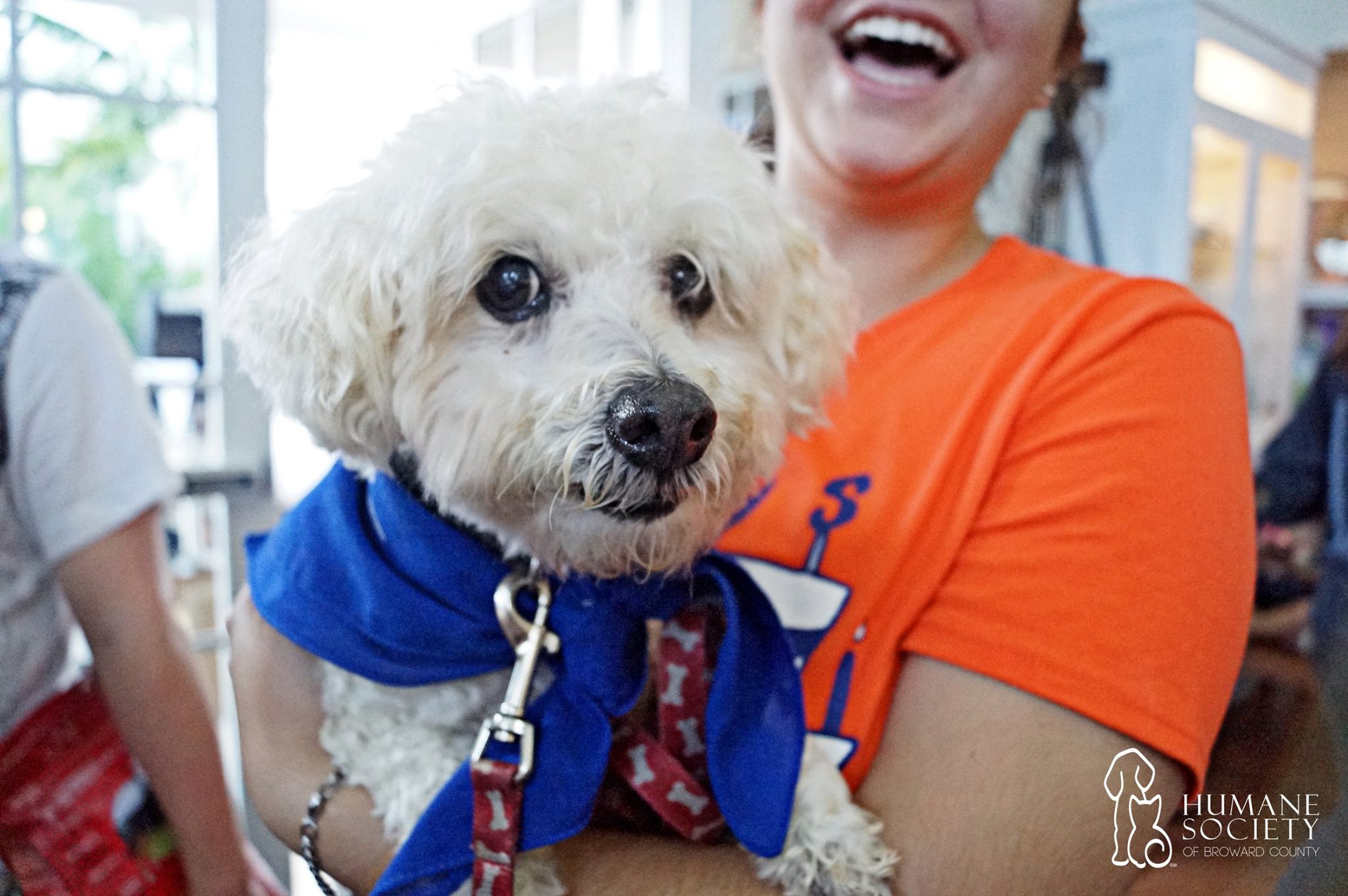 #ClearTheShelters: Humane Society of Broward County