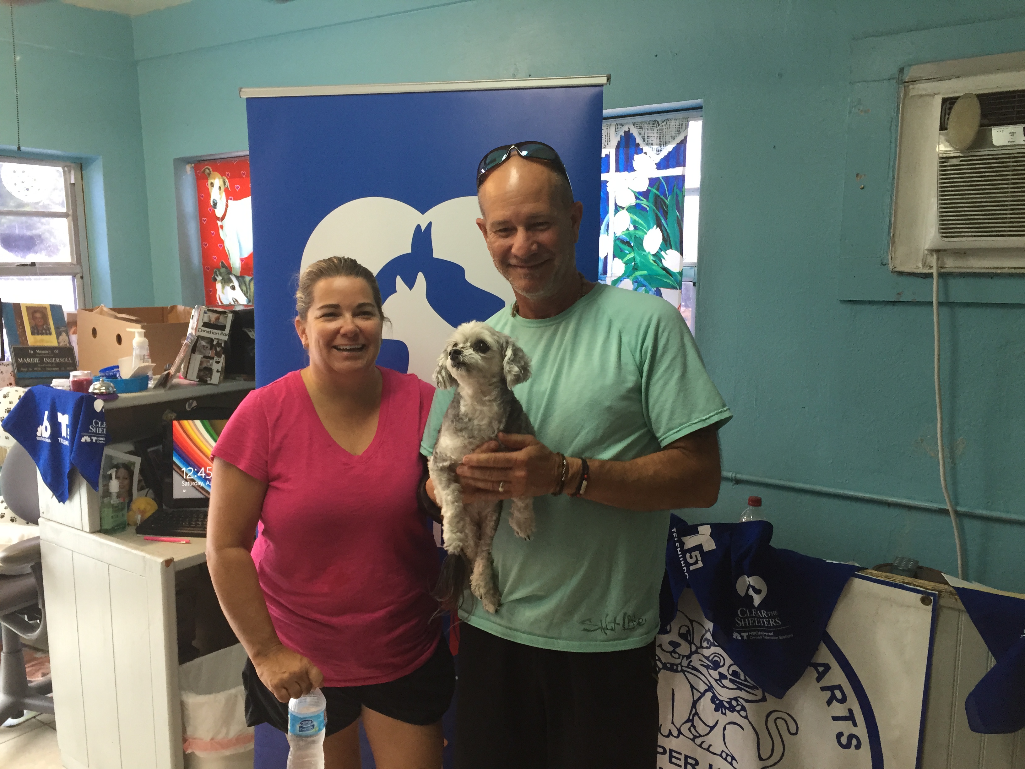 #ClearTheShelters: More Than 500 Adopted in South Florida