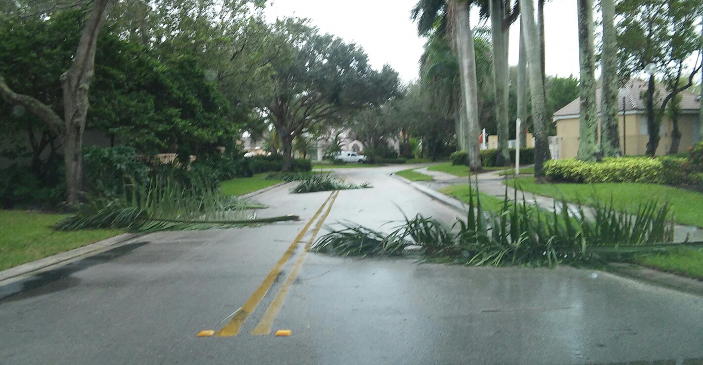 At Least 2 Dead in Florida Storms