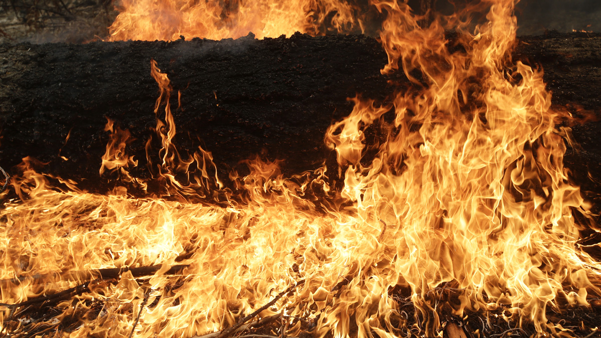 Second Fire at Tampa Mosque in Under Two Weeks Investigated