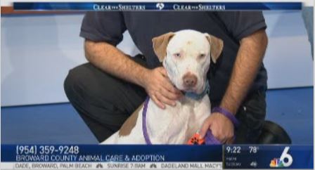 Pet of the Week: Logan
