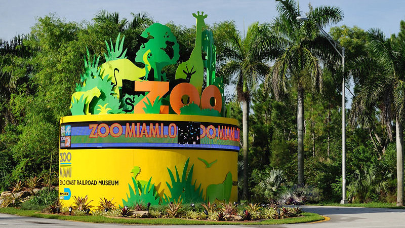 Zoo Miami Set To Re-Open Oct. 14 After Hurricane Irma