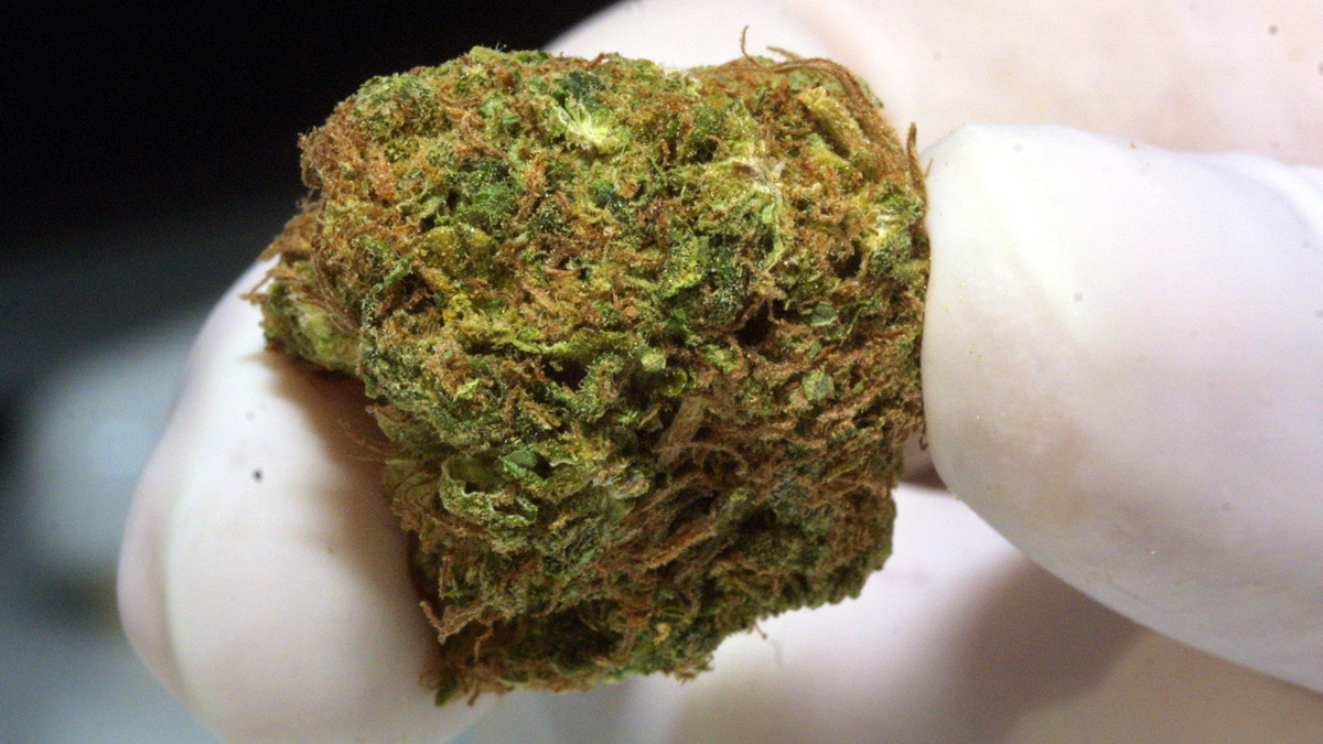 Broward Commissioners Pass Pot Ordinance