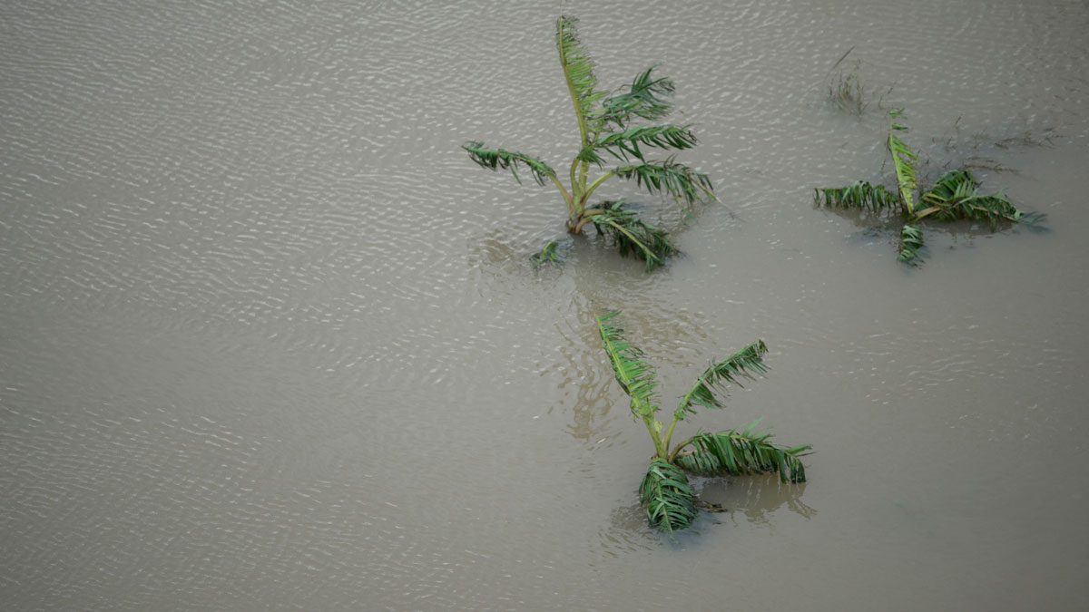 Flash Flood Watch Issued for Puerto Rico Through Weekend