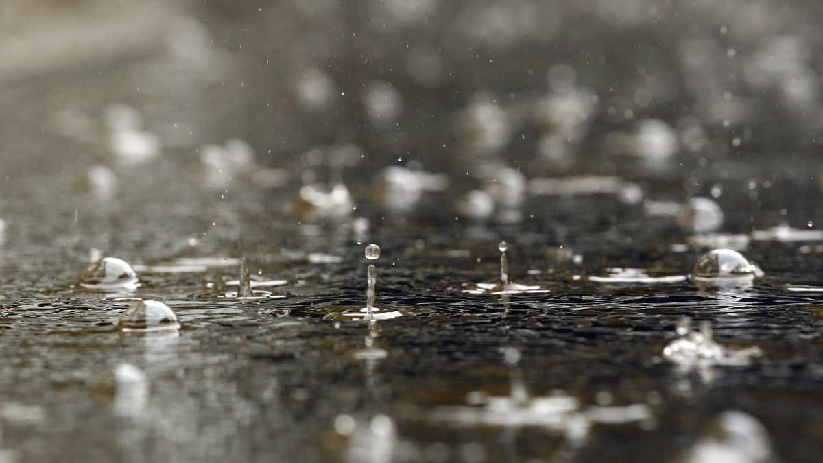 Flood Advisory in Northeastern Broward Until 5:30 P.M.