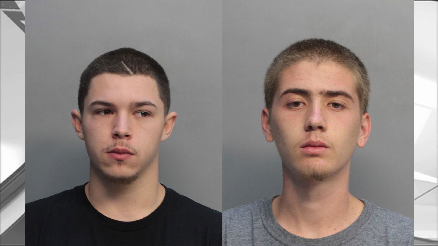 Teens Arrested for Killing Dog in Burglary