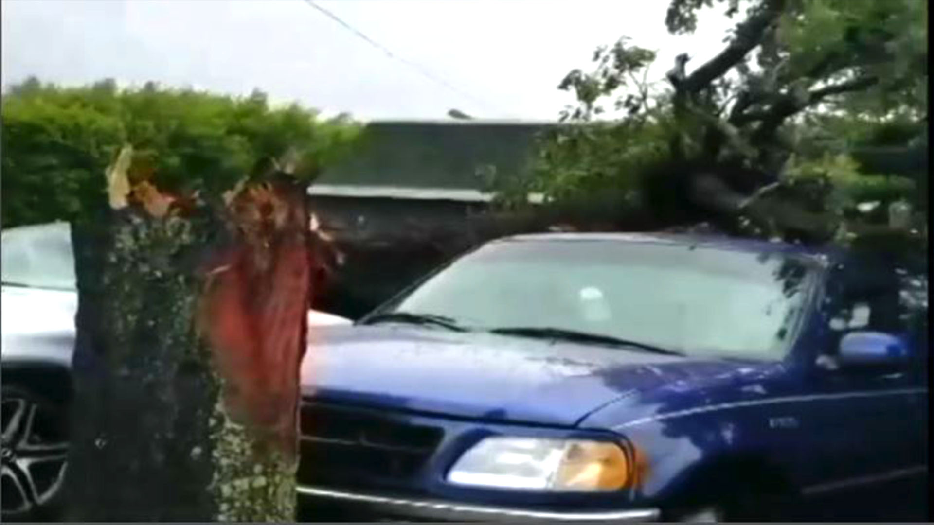 Tornado Impacts, Touches Down Along Bird Road