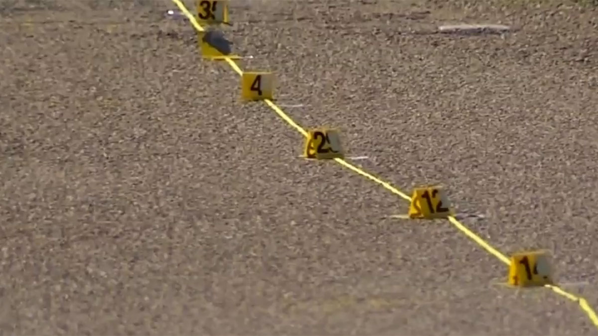 90-Year-Old Woman Struck and Killed By Car: Police