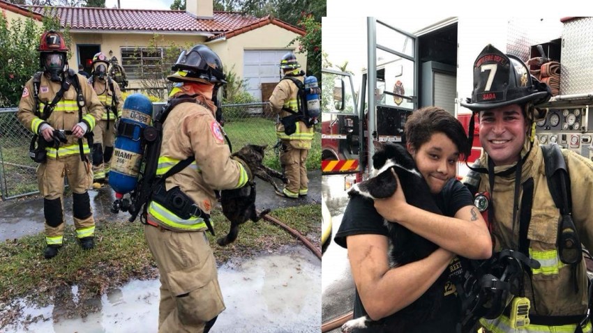 010218 Cat Rescue Fire