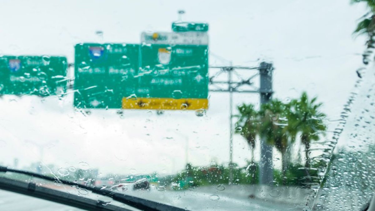 LIVE RADAR: South Florida storms in the Thursday forecast