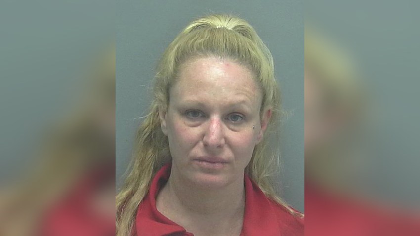 011519 laura ulin mugshot