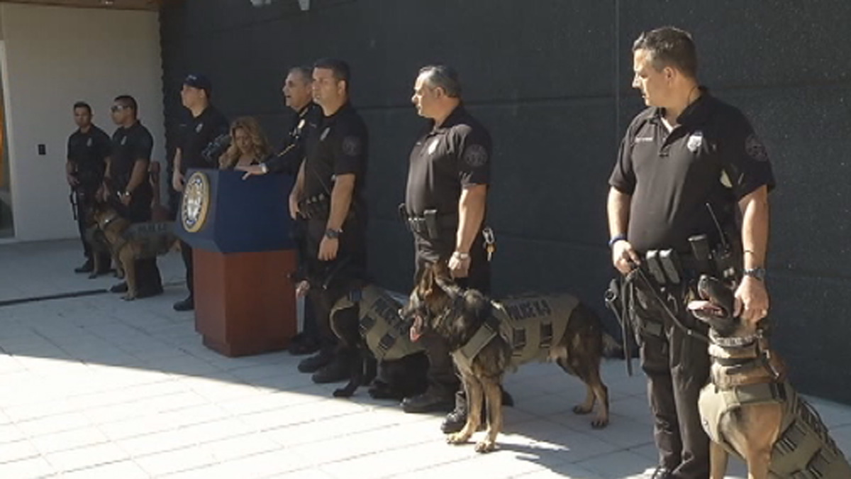 Miami Police K9 Dogs Get Bulletproof Vests NBC 6 South Florida