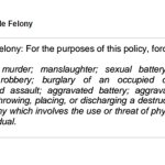 021317 bso forcible felony definition