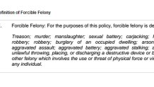 021317 bso forcible felony definition