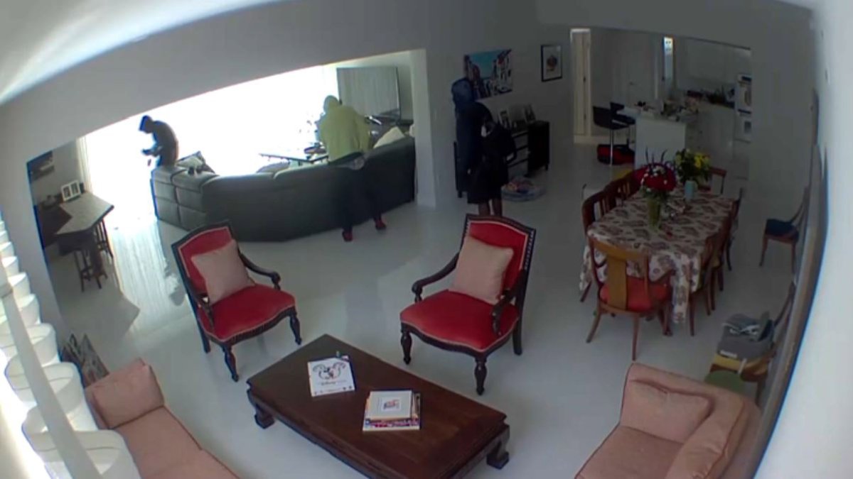 Caught on Camera: Burglars Caught Breaking into NE Miami-Dade Home ...