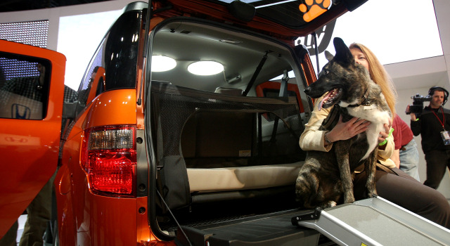 041309 Honda dog P1
