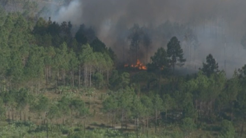 052015 miami-dade grass fire