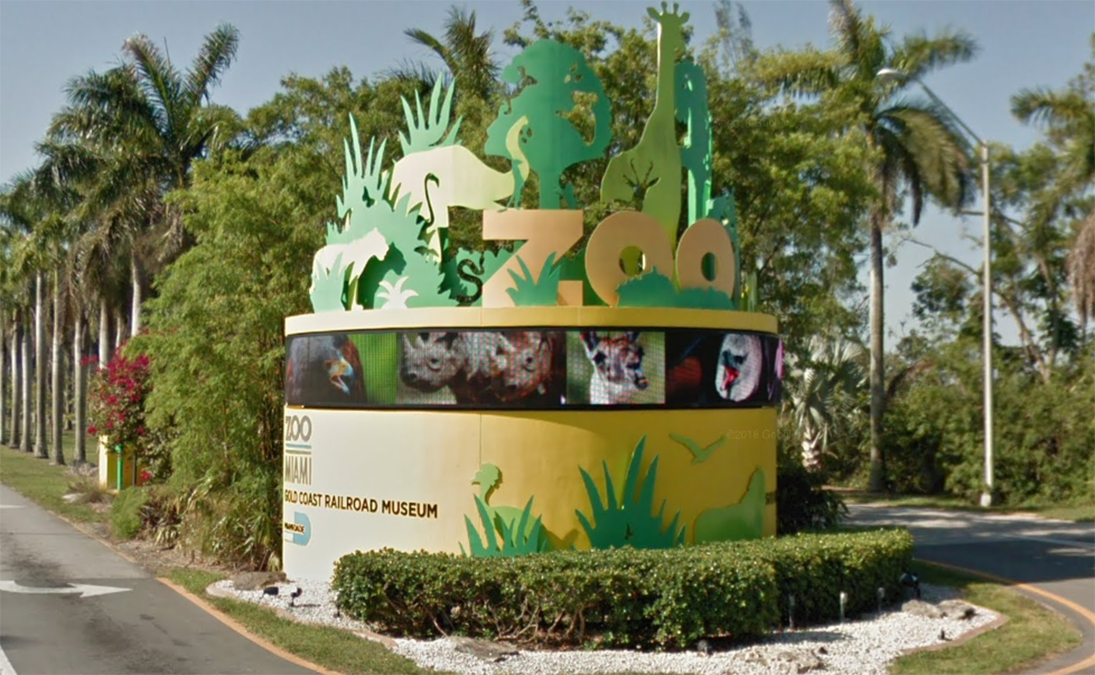 Zoo Miami to Close Tuesday and Wednesday Due to Potential Impacts From Hurricane Ian