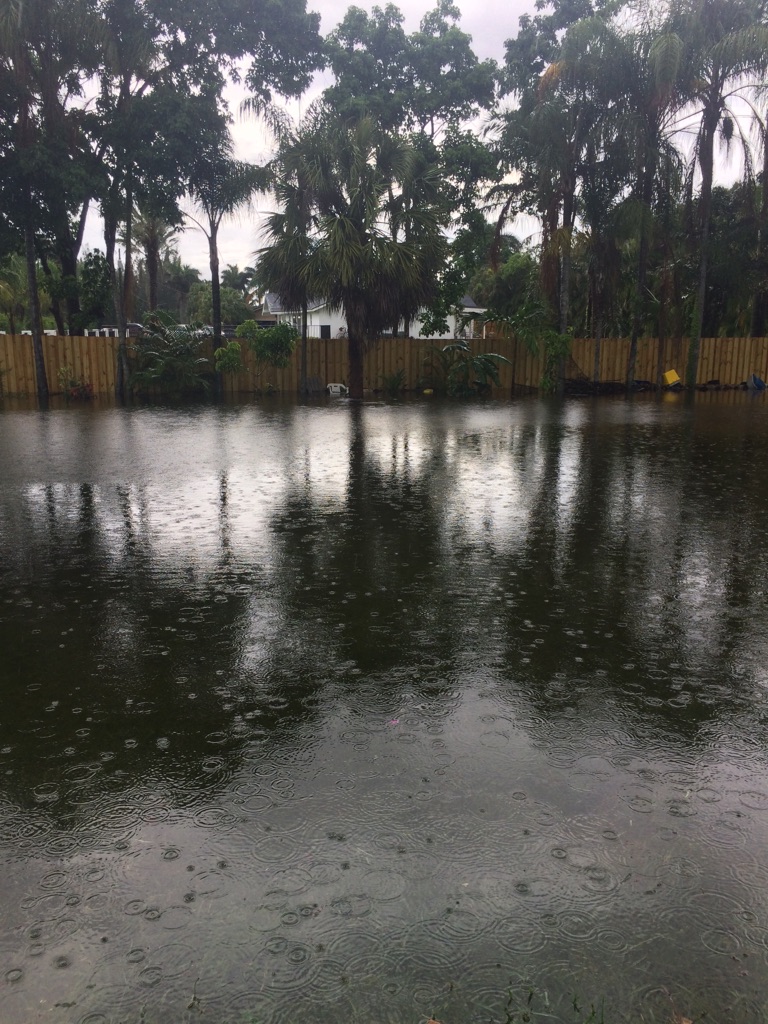 Storms topple tree in Sunrise, flood Sawgrass Mills Mall parking lot, lead  to traffic backups - WSVN 7News, Miami News, Weather, Sports