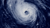 WATCH LIVE: Rep. Debbie Wasserman Schultz, more officials discuss hurricane preparedness